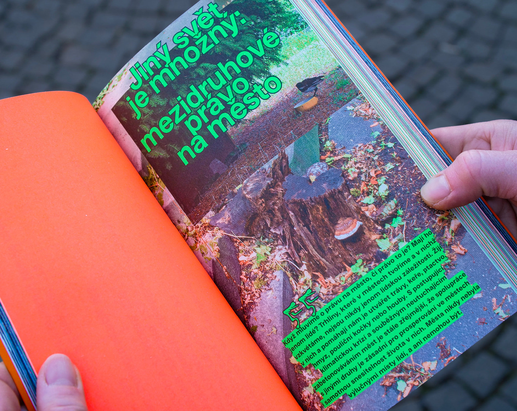 Beranidlo imaginace: Příručka městské neposlušnosti 